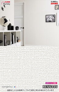 RECX ǎNX TQc RE55335 RE55336 RE55337 RE55338 ECX𕪉ǎ  h R OK \蒼NX V  gC Lb` ʏ d rO Vbvf