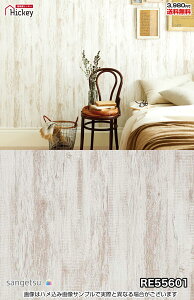 ǎNX ؖ Ebh TQc RE55600 RE55601 RE55602 V ؖڃEbh i` h OK \蒼NX V  gC Lb` ʏ d rO VbvfUC v