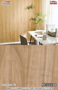 ǎNX ؖ Ebh TQc RE55597 RE55598 V ؖڃEbh i` h OK \蒼NX V  gC Lb` ʏ d rO VbvfUC vdl