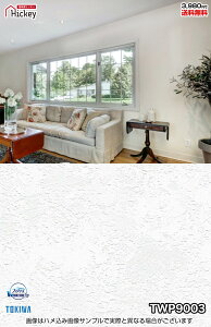 t@u[Y ǎNX gL TWP9003 TWP9004 TWP9005 Ζڒ  h R L OK \蒼NX V  gC Lb` ʏ d rO VbvfUC vdl