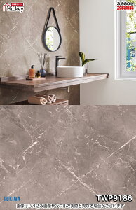 嗝 Ζ ǎNX gL TWP9186 TWP9187 Ζڒ 嗝 h OK \蒼NX V  gC Lb` ʏ d rO VbvfUC vdl̐̂t