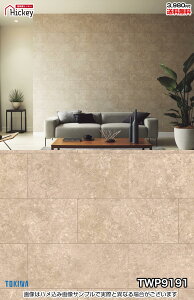 Ζ ǎNX gL TWP9191 TWP9192 Ζڒ Ίp K h OK \蒼NX V  gC Lb` ʏ d rO VbvfUC vdl̐̂t