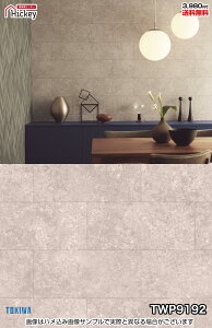 Ζ ǎNX gL TWP9191 TWP9192 Ζڒ Ίp K h OK \蒼NX V  gC Lb` ʏ d rO VbvfUC vdl̐̂t