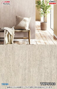 Ζ ǎNX gL TWP9188 TWP9189 Ζڒ Ίp K h OK \蒼NX V  gC Lb` ʏ d rO VbvfUC vdl̐̂t