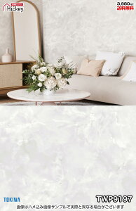 Ζ ǎNX gL TWP9197 TWP9198 Ζڒ Ίp h OK \蒼NX V  gC Lb` ʏ d rO VbvfUC vdl̐̂t