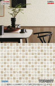 ^C ǎNX gL TWP9217 TWP9218 Ζڒ ^C ubN h OK \蒼NX V  gC Lb` ʏ d rO VbvfUC vdl̐̂t