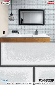 ^C ǎNX gL TWP9226 TWP9227 Ζڒ ^C ubN h OK \蒼NX V  gC Lb` ʏ d rO VbvfUC vdl̐̂t