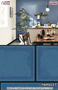 ^C ǎNX gL TWP9226 TWP9227 Ζڒ ^C ubN h OK \蒼NX V  gC Lb` ʏ d rO VbvfUC vdl̐̂t