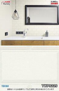 ^C ǎNX gL TWP9228 TWP9229 Ζڒ ^C ubN h OK \蒼NX V  gC Lb` ʏ d rO VbvfUC vdl̐̂t