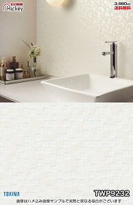 ^C ǎNX gL TWP9232 TWP9233 Ζڒ ^C ubN h OK \蒼NX V  gC Lb` ʏ d rO VbvfUC vdl̐̂t