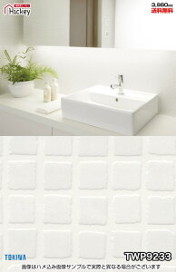 ^C ǎNX gL TWP9232 TWP9233 Ζڒ ^C ubN h OK \蒼NX V  gC Lb` ʏ d rO VbvfUC vdl̐̂t