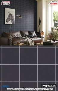 ^C ǎNX gL TWP9230 TWP9231 Ζڒ ^C ubN h OK \蒼NX V  gC Lb` ʏ d rO VbvfUC vdl̐̂t