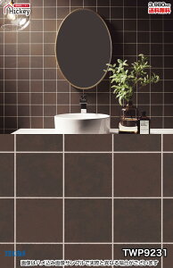 ^C ǎNX gL TWP9230 TWP9231 Ζڒ ^C ubN h OK \蒼NX V  gC Lb` ʏ d rO VbvfUC vdl̐̂t