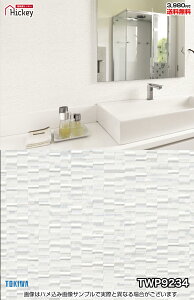 ^C ǎNX gL TWP9234 TWP9235 TWP9236 Ζڒ ^C ubN h OK \蒼NX V  gC Lb` ʏ d rO VbvfUC vdl̐̂