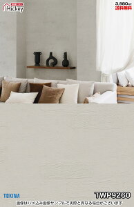 Ζ ǎNX gL TWP9258 TWP9259 TWP9260 TWP9261 Ζڒ  RN[g ubN h OK \蒼NX V  gC Lb` ʏ d rO VbvfUC v