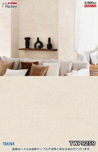 Ζ ǎNX gL TWP9258 TWP9259 TWP9260 TWP9261 Ζڒ  RN[g ubN h OK \蒼NX V  gC Lb` ʏ d rO VbvfUC v