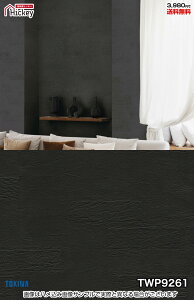 Ζ ǎNX gL TWP9258 TWP9259 TWP9260 TWP9261 Ζڒ  RN[g ubN h OK \蒼NX V  gC Lb` ʏ d rO VbvfUC v