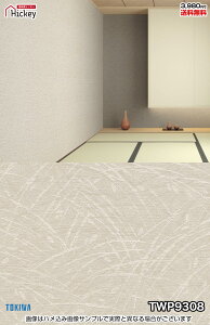 a a a gL TWP9308 TWP9309 TWP9310 a_ âɂ݂ڂ hJr OK \蒼NX V  gC Lb` ʏ d rO VbvfUC X^WI 