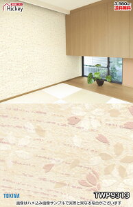 a a a gL TWP9311 TWP9312 TWP9313 a_ a  hJr OK \蒼NX V  gC Lb` ʏ d rO VbvfUC X^WI ݕǎ