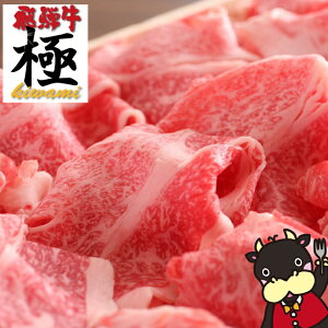 ◆年中休まずあす楽◆2013年感謝をこめて★リッチな極上飛騨牛切り落とし300g!【あす楽年中無休対応】>>