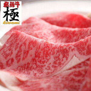 ◆年中休まずあす楽◆2013年感謝をこめて★リッチな極上飛騨牛切り落とし300g!【あす楽年中無休対応】>>