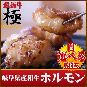 5つ星ホテル直営産直■プリとろホルモン■岐阜県産和牛選べるホルモン白ホルモン300gorMixホルモン300gB級グルメ?A級の自信作!特製味噌旨だれ味付!【あす楽対応】【あす楽_point】
