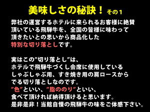 2パックで送料無料★楽天EXPOAward受賞店【お試し】リッチな極上飛騨牛切り落とし300g!【土曜営業】おうち割ふっこう福袋復袋お取り寄せグルメ観光地応援高級食材料