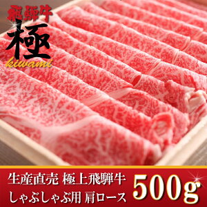 Ε遟ɏˋԂԗp[X 500gʓr1000~ŃMtgI5zecY Yn i  a Nn  Ε ii j 蕨 o Mtg ē 