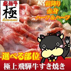 ◆お歳暮◆★選べる部位★霜降赤身ハーフ&ハーフから選べる部位極上飛騨牛すきやき内容量も必見の人気商品年末年始も休まず年中無休営業【RCP】【20P30May15】【SSMay15_point20】