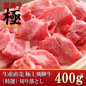5zec@ɏˋ؂藎Ƃ400g ӂ  񂹃O όn Hޗ