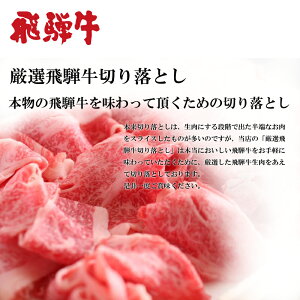 ◆年中休まずあす楽◆2013年感謝をこめて★リッチな極上飛騨牛切り落とし300g!【あす楽年中無休対応】>>
