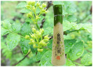 ˂̎RhbVO@TVEVɏođlCII s[^[񂪑iłB9/1 胁[J[iilグj܂B낵肢܂B