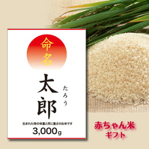 yoYjzfUC@򕌌ˍRY L@엿gp@RVqJ@Mtg@Ԃ̏d@ā@ƍ͔|ā@ā@@j̎q@̎q