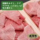 飛騨牛 みすじウデすきやき・しゃぶしゃぶ切り落とし(冷凍）2パック以上で送料無料 みすじ ウデ すきやき しゃぶしゃ…