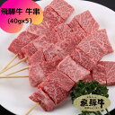 飛騨牛 牛串 5本入 (40g×5）2パック以上で送料無料 BBQ バーベキュー 飛騨牛串焼き 焼肉【岐阜県観光連盟・岐阜県高…