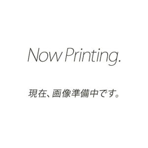 Nc Ɩp 艟@ BYTE1p I{[h`[W[ RCA133567 oCg DanaxysE[J[z