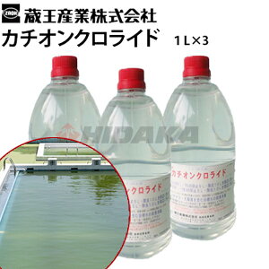 蔵王産業 業務用 藻防止剤 カチオンクロライド 1L×3本セット(池・シーズンオフプール用)1リットル×3 (cach-1l-03) 藻対策 除去剤 掃除 も モ 緑 緑色 ニオイ 臭い くさい 学校 人工池 庭≪離