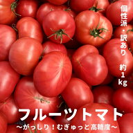 高知県産 フルーツトマト 訳あり 規格外品 高糖度 農家直送 獲れたて即日発送 1箱約1キロ 濃厚 ジューシ…