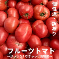 高知県産 フルーツトマト 訳あり 規格外品 高糖度 農家直送 獲れたて即日発送 1箱約800g 濃厚 ジューシー…