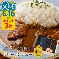 【6/16までポイント3倍】父の日 飛騨牛 カレー 4人前 2個 レトルト ギフト カレーギフト 詰め合わせ セッ…