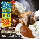 【6/6まで早割！】父の日 早割 レトルト ギフト カレー カレーギフト 詰め合わせ 飛騨牛 レトルト 国産 黒毛和牛 ビーフカレー ビーフシチュー 4種 4食 / 8食 常温 40代 50代 60代 70代 80代 グルメ 食べ物 飛騨高山 父の日ギフト ソーシャルギフト