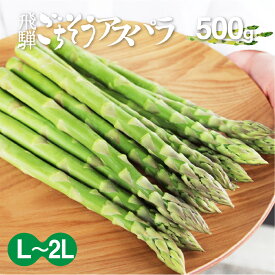 朝採れ 国産 グリーンアスパラガス L〜2L 500g 夏 アスパラガス 食用 飛騨のごちそうアスパラ アスパラ 送料無料 飛騨 旬野菜 産地直送 水村農園　農家直送 バーベキュー 焼肉 にも　直送