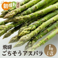 【予約受付中】朝採れ 国産 グリーンアスパラガス L~2L 1kg 【4月下旬以降】 夏アスパラガス 飛騨のごち…