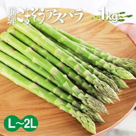 朝採れ 国産 グリーンアスパラガス L~2L 1kg 夏アスパラガス 飛騨のごちそうアスパラ アスパラ 農家直送 水村農園 飛騨 旬野菜 産地直送 春野菜 旬の贈り物 バーベキュー 焼肉 おうちごはん にも
