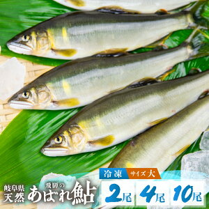 ΂ꈼ 2 4 10 VR  Ⓚ TCY(19cmȏ) ˂̂΂ꈼ  VR A  싛  |  {쉺 Lv AEghA o[xL[