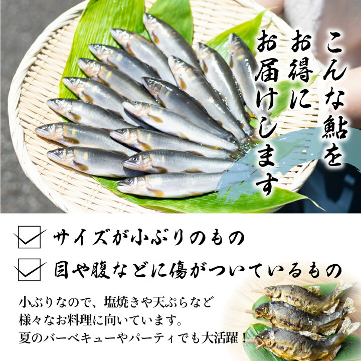 市場 新物 釣り 送料無料 約１kg 天然鮎 アユ 岐阜県産 15 尾天然 鮎