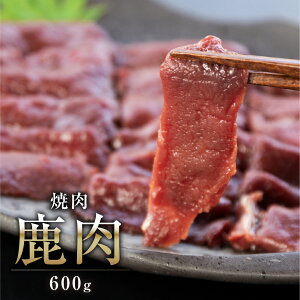 yփWjNjNFŘbz˃WrG  ē 600g t  VJ  VJ ˎlH[