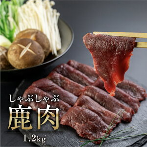 ˃WrG  Ԃԗp 300g / 600g / 1.2kg  WrG t  VJ  VJ  Ⓚ  ˎlH[