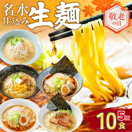 敬老の日 まだ間に合う ギフト ラーメンセット 5種10食 プレゼント ラーメンギフト ラーメン セット 飛騨…