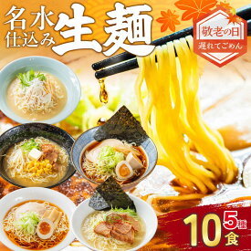 敬老の日 遅れてごめん ギフト ラーメンセット 5種10食 プレゼント ラーメンギフト ラーメン セット 飛騨のごちそうラーメンセットL 詰め合わせ セット 麺類 有名店 3000円 ご当地ラーメン プレゼント 高山ラーメン 食べ物 常温 ソーシャルギフト 秋ギフト